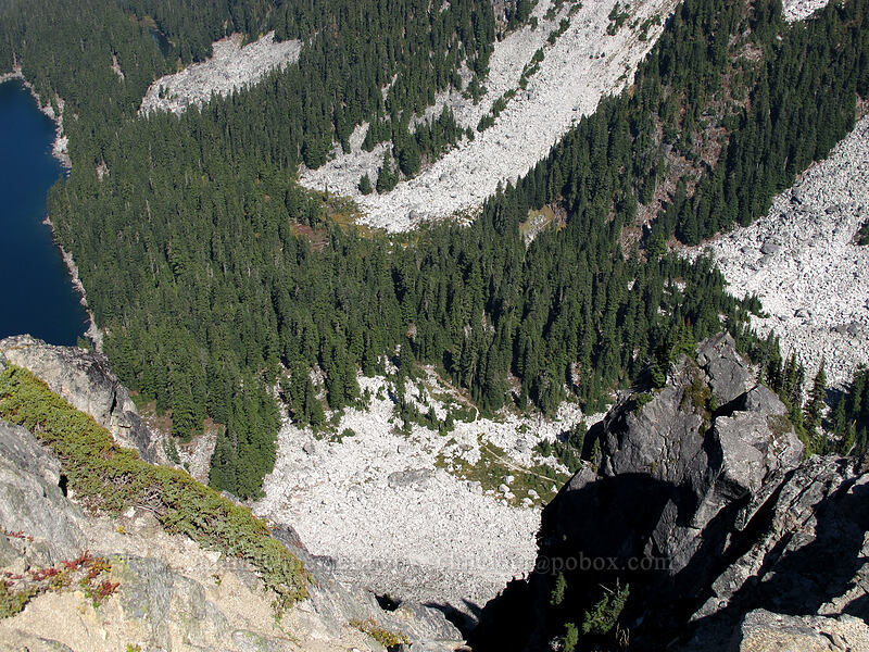 the trail, 1200 feet below [Surprise Mountain, Alpine Lakes Wilderness, King County, Washington]