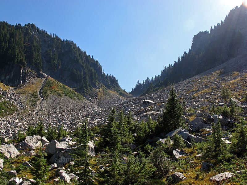 Surprise Gap [Old Cascade Crest Trail, Alpine Lakes Wilderness, King County, Washington]