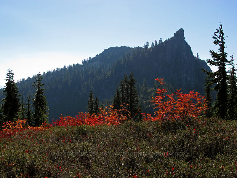 Lichtenberg Mountain [Mt. McCausland, Henry M. Jackson Wilderness, Chelan County, Washington]