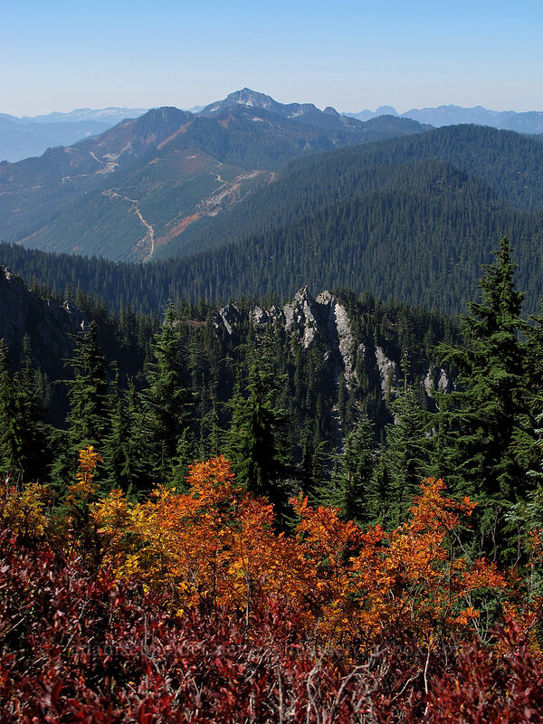 fall colors & the southwest view [Mt. McCausland, Henry M. Jackson Wilderness, Snohomish County, Washington]