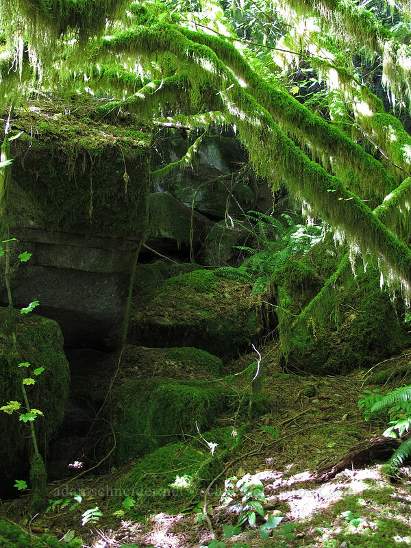 mossy glen [Index Town Wall, Index, Snohomish County, Washington]