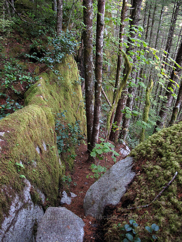 the trail [Index Town Wall, Index, Snohomish County, Washington]