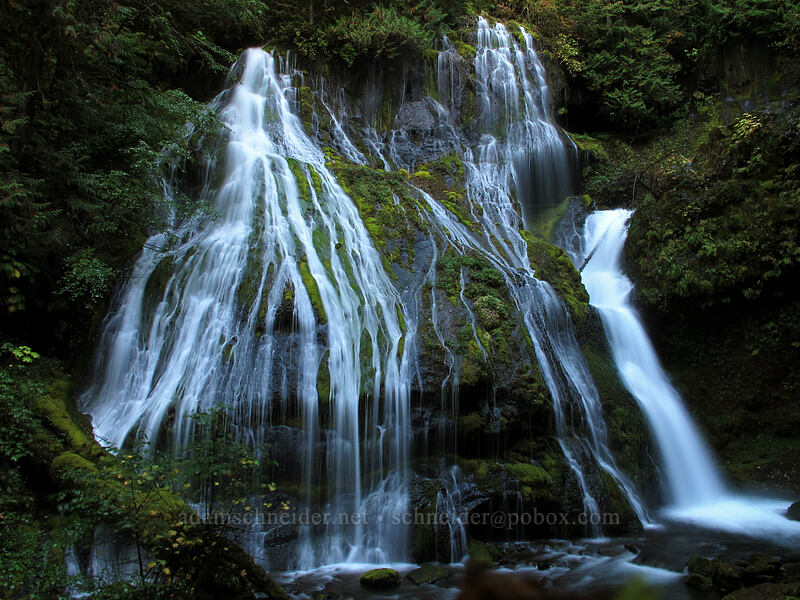 Panther Creek Falls [Panther Creek Falls, Gifford Pinchot National Forest, Skamania County, Washington]