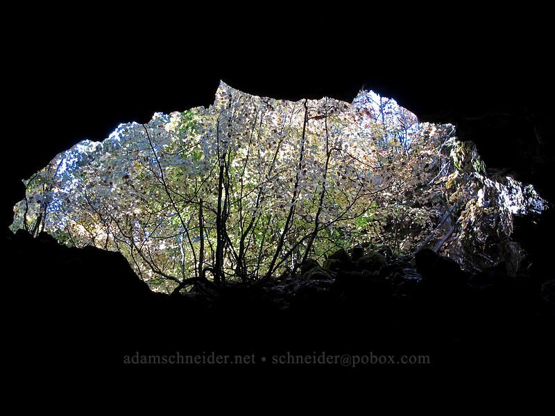 passage entrance (pit #2) [Falls Creek Cave, Gifford Pinchot National Forest, Skamania County, Washington]