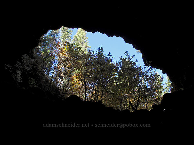 cave entrance [Falls Creek Cave, Gifford Pinchot National Forest, Skamania County, Washington]