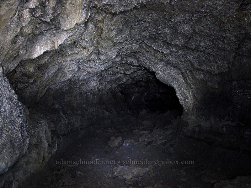 side passage [Falls Creek Cave, Gifford Pinchot National Forest, Skamania County, Washington]