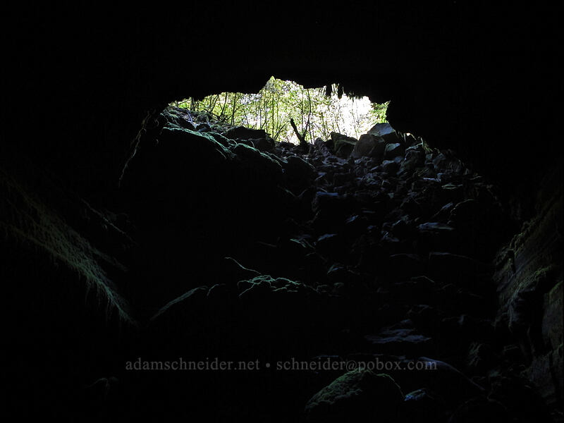 cave entrance [Falls Creek Cave, Gifford Pinchot National Forest, Skamania County, Washington]