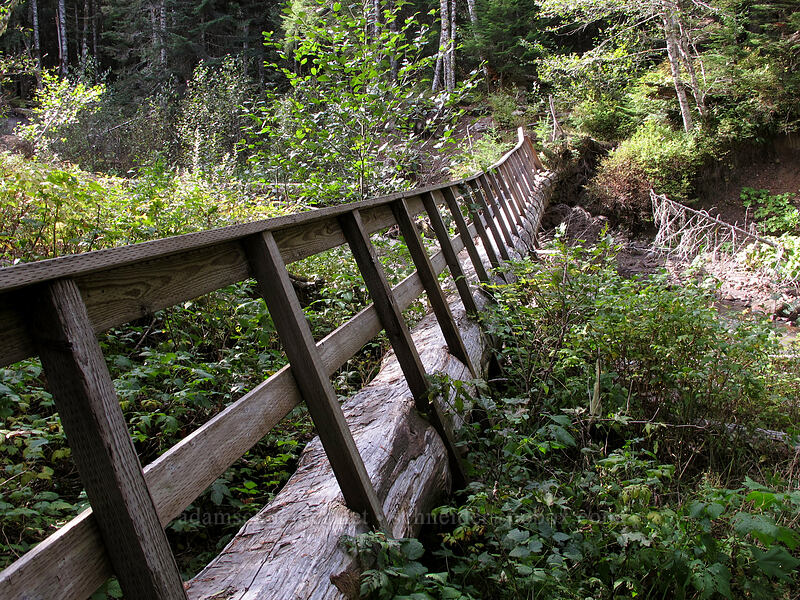 tilted log bridge [Old Pacific Crest Trail, Mt. Hood National Forest, Clackamas County, Oregon]