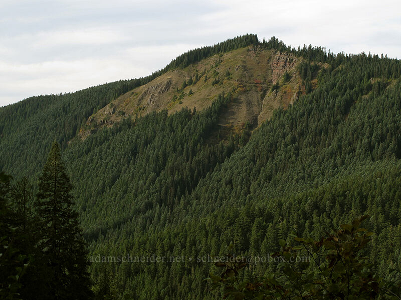 Bald Mountain [Pacific Crest Trail, Mt. Hood Wilderness, Clackamas County, Oregon]