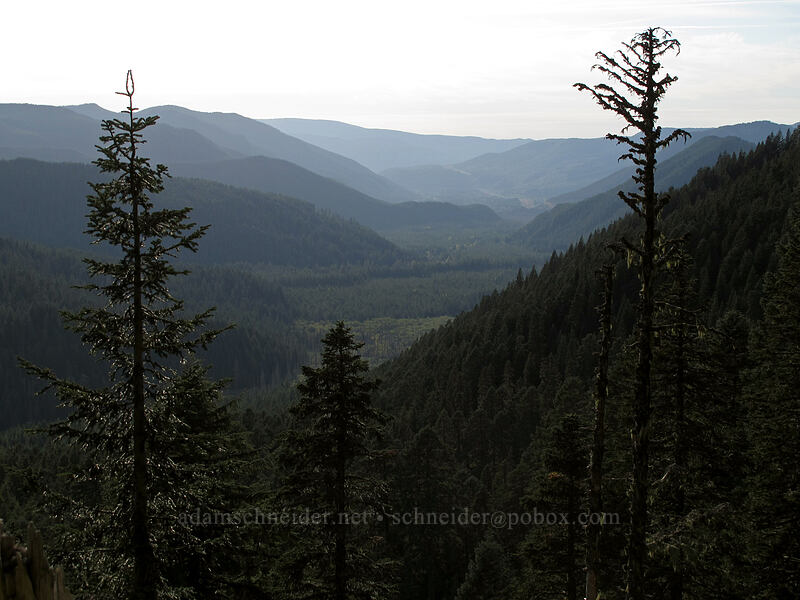 Sandy River Valley [Pacific Crest Trail, Mt. Hood Wilderness, Clackamas County, Oregon]