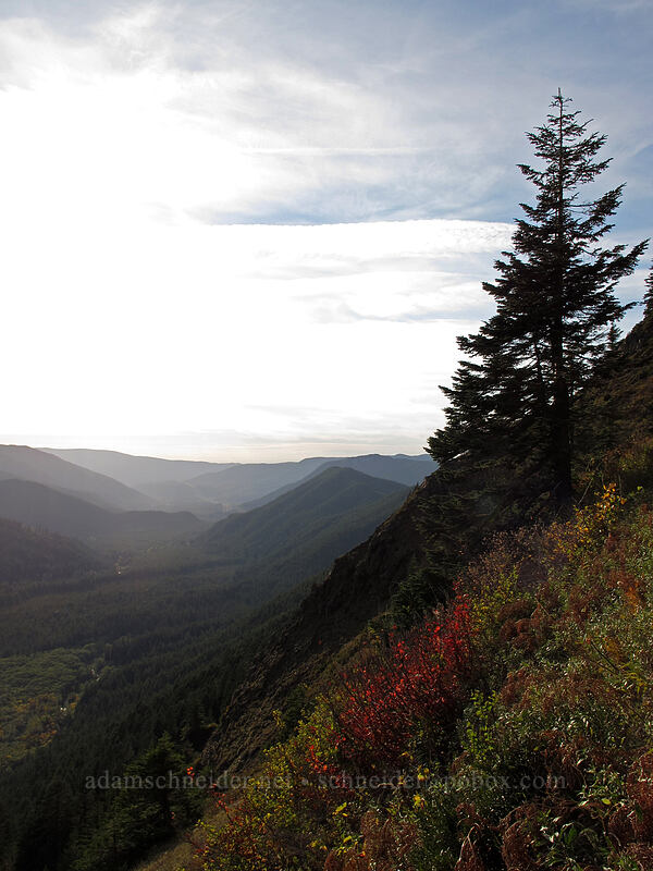 Sandy River Valley [Bald Mountain, Mt. Hood Wilderness, Clackamas County, Oregon]