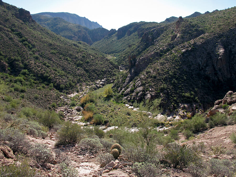 dry canyon [Lower La Barge Canyon, Superstition Wilderness, Maricopa County, Arizona]