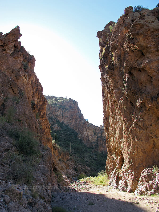 narrow canyon walls [Lower La Barge Canyon, Superstition Wilderness, Maricopa County, Arizona]
