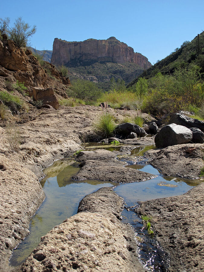 Battleship Mountain & temporary water [Lower Boulder Canyon, Superstition Wilderness, Maricopa County, Arizona]