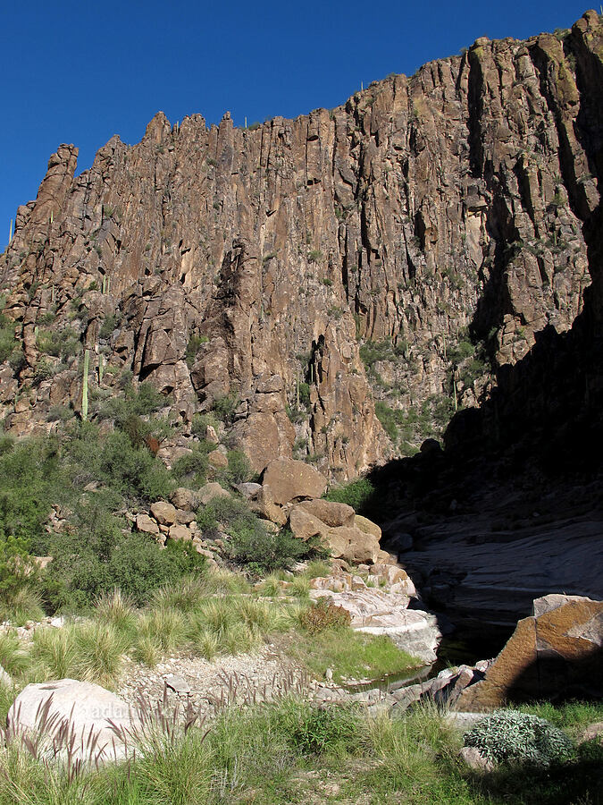 steep canyon walls [La Barge Canyon, Superstition Wilderness, Maricopa County, Arizona]
