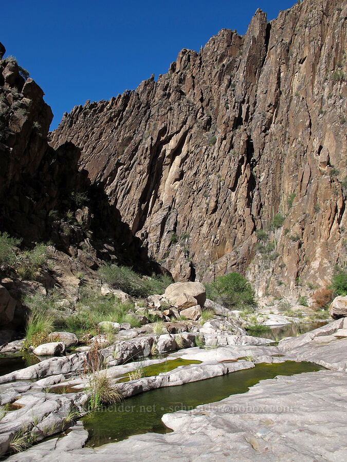 canyon walls & pools [La Barge Box Canyon, Superstition Wilderness, Maricopa County, Arizona]