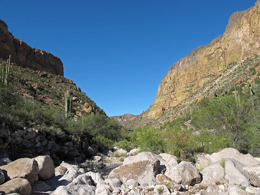 Battleship Mountain & Geronimo Head [La Barge Canyon, Superstition Wilderness, Maricopa County, Arizona]
