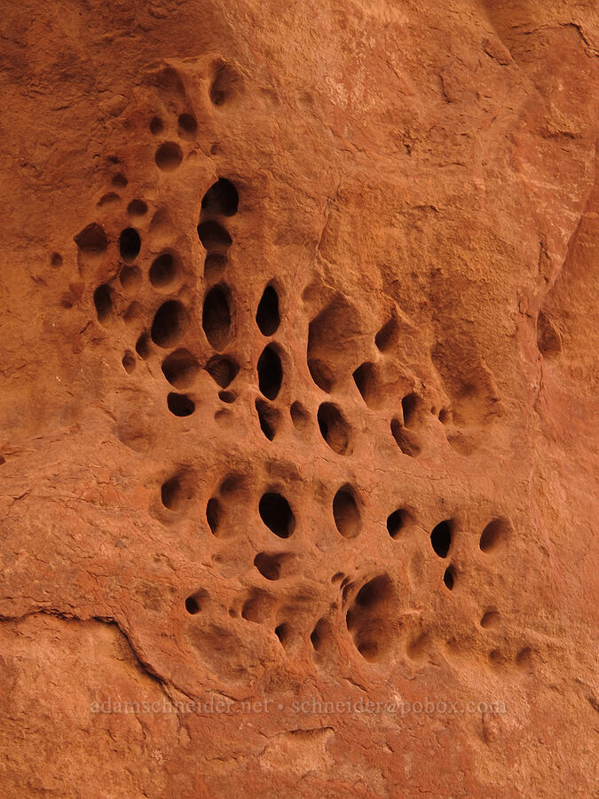 honeycomb weathering? [Cathedral Rock, Coconino National Forest, Yavapai County, Arizona]