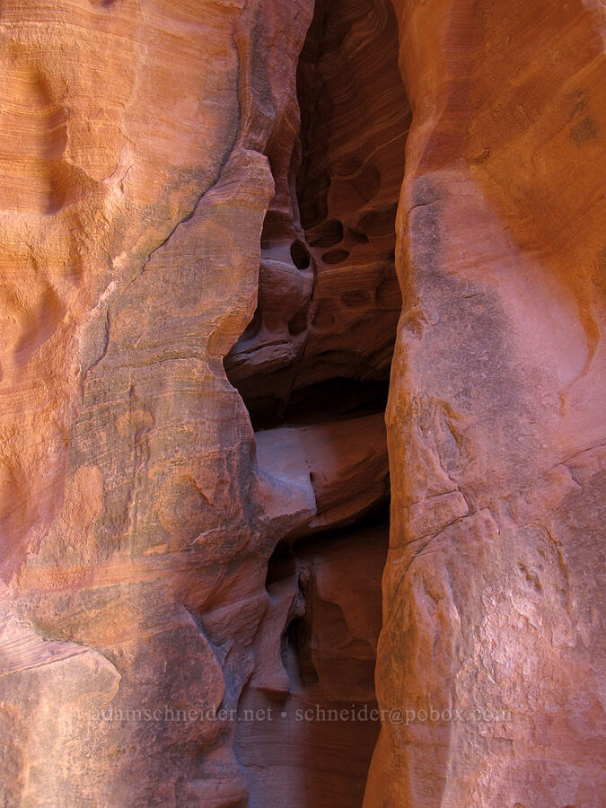 multiple layers of holes [Cathedral Rock, Coconino National Forest, Yavapai County, Arizona]