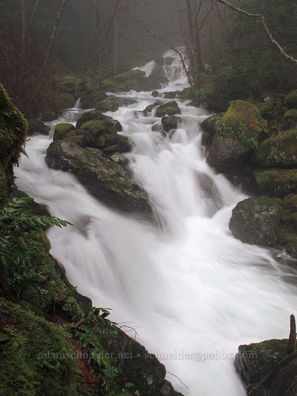 Hardy Creek [Hardy Falls Viewpoint, Beacon Rock State Park, Skamania County, Washington]