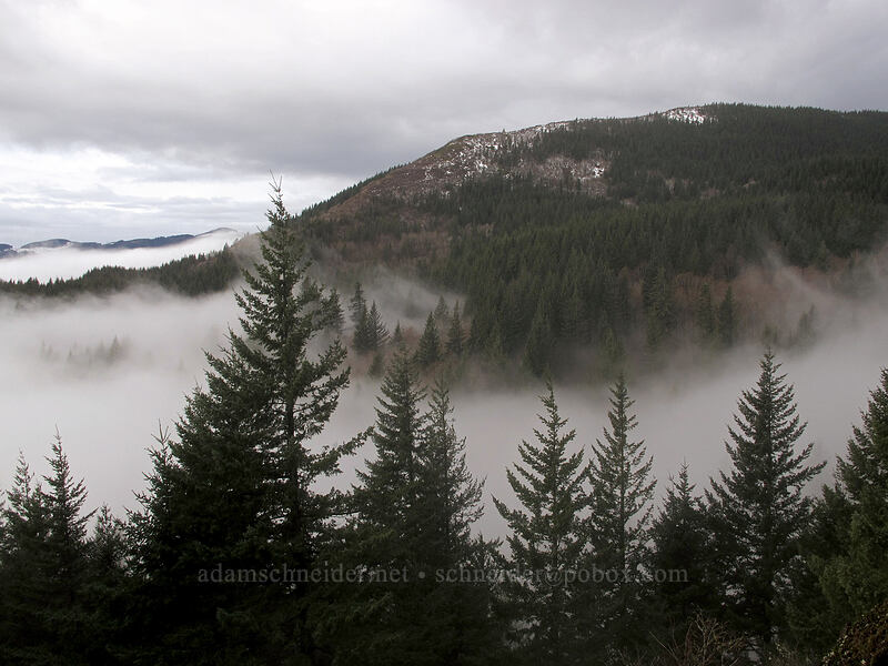 Hardy Ridge [Hamilton Mountain Trail, Beacon Rock State Park, Skamania County, Washington]