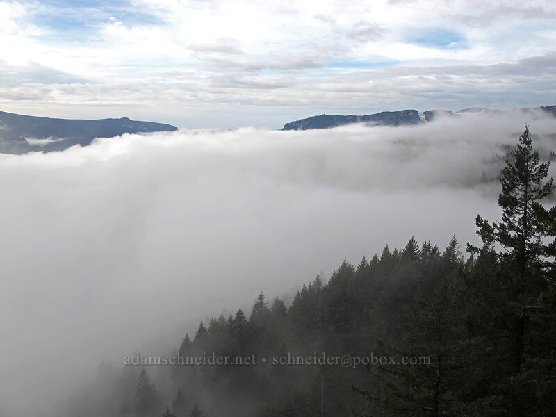fog in the western Gorge [Hamilton Mountain Trail, Beacon Rock State Park, Skamania County, Washington]