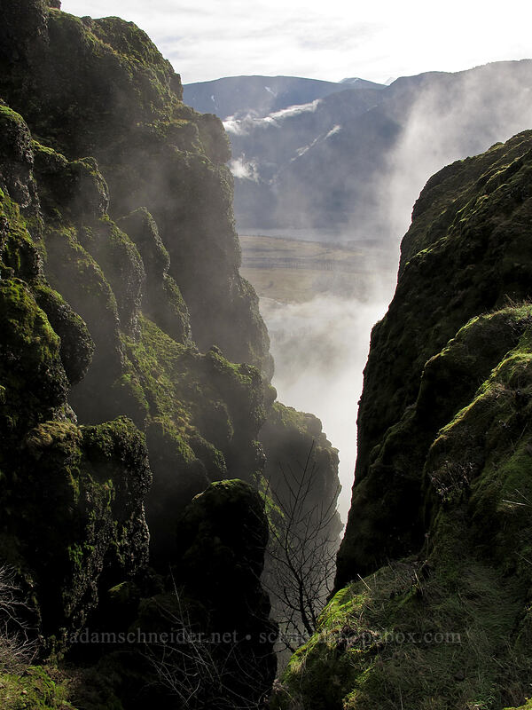 cliffs & fog [Hamilton Mountain Trail, Beacon Rock State Park, Skamania County, Washington]
