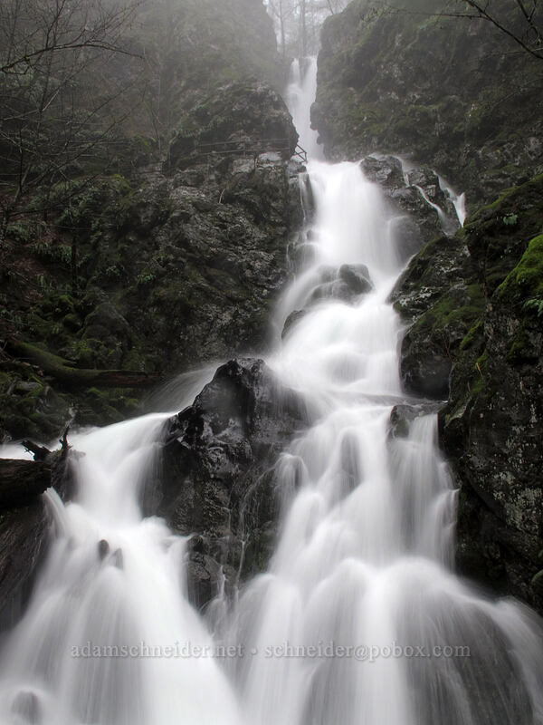 Rodney Falls [Hamilton Mountain Trail, Beacon Rock State Park, Skamania County, Washington]