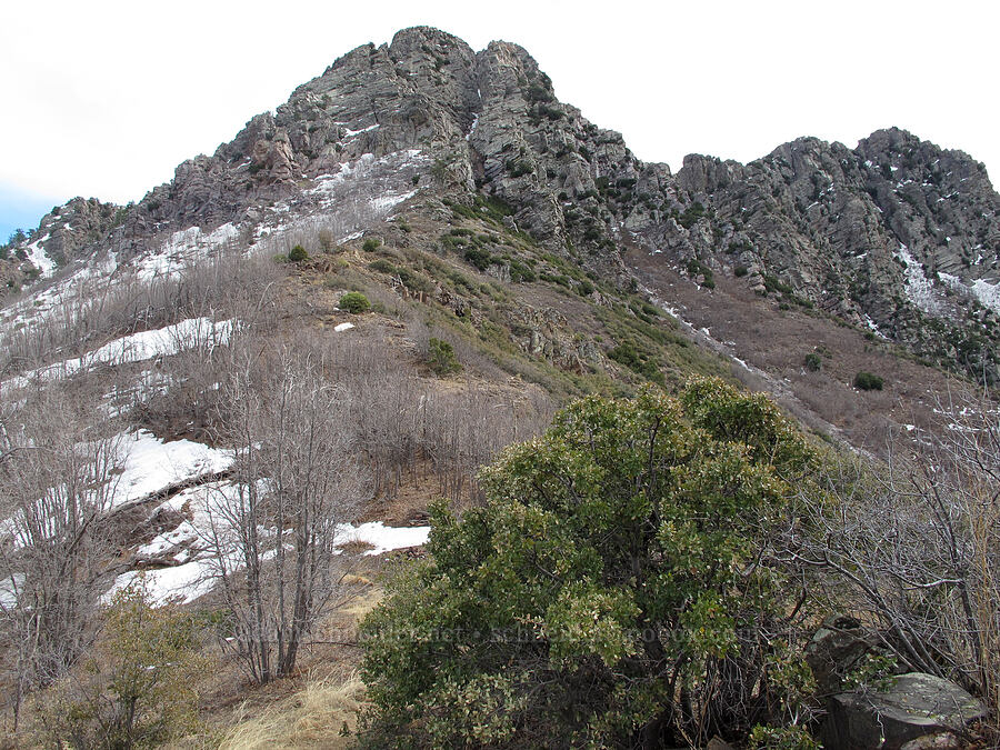 Brown's Peak [Brown's Trail, Tonto National Forest, Gila County, Arizona]