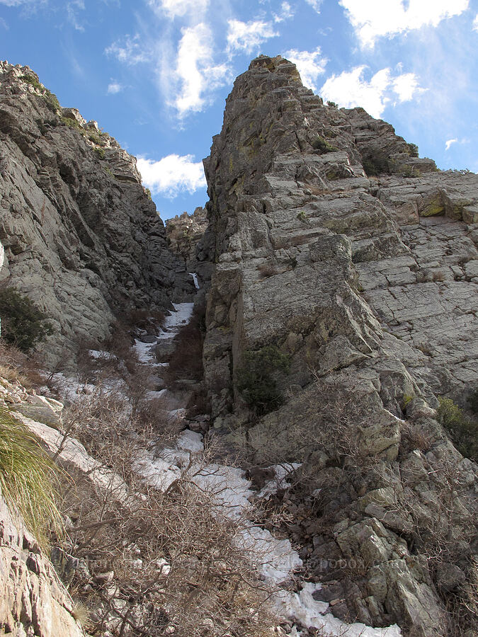 snow-filled chute [Brown's Peak, Tonto National Forest, Maricopa County, Arizona]