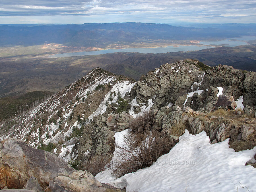 view to the northeast (Roosevelt Lake) [Brown's Peak summit, Tonto National Forest, Gila County, Arizona]