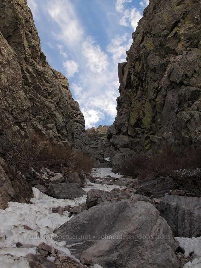 snow-filled chute [Brown's Peak, Tonto National Forest, Maricopa County, Arizona]