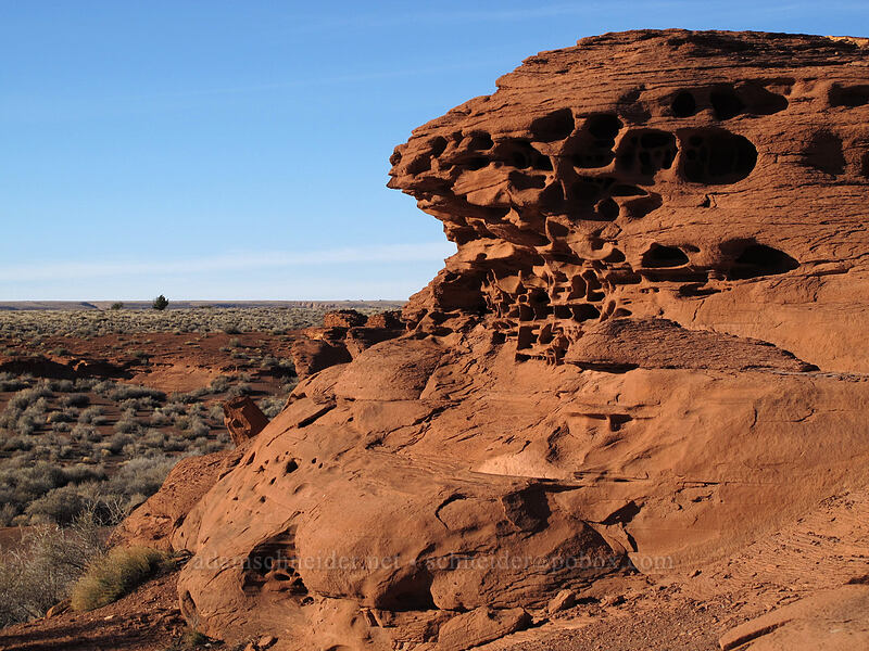 eroded sandstone [Wukoki Pueblo, Wupatki National Monument, Coconino County, Arizona]