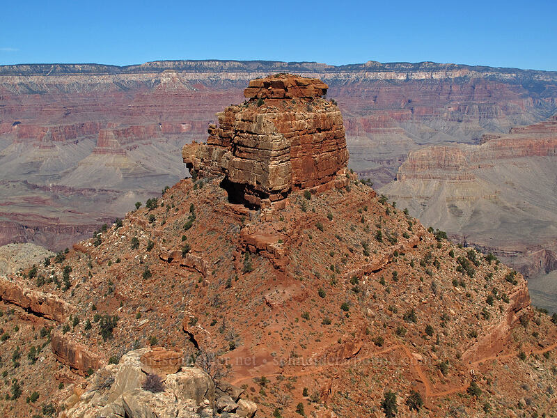 O'Neill Butte [Cedar Ridge, Grand Canyon National Park, Coconino County, Arizona]