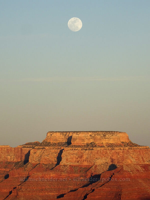 moonrise over Wotan's Throne [Hopi Point, Grand Canyon National Park, Coconino County, Arizona]