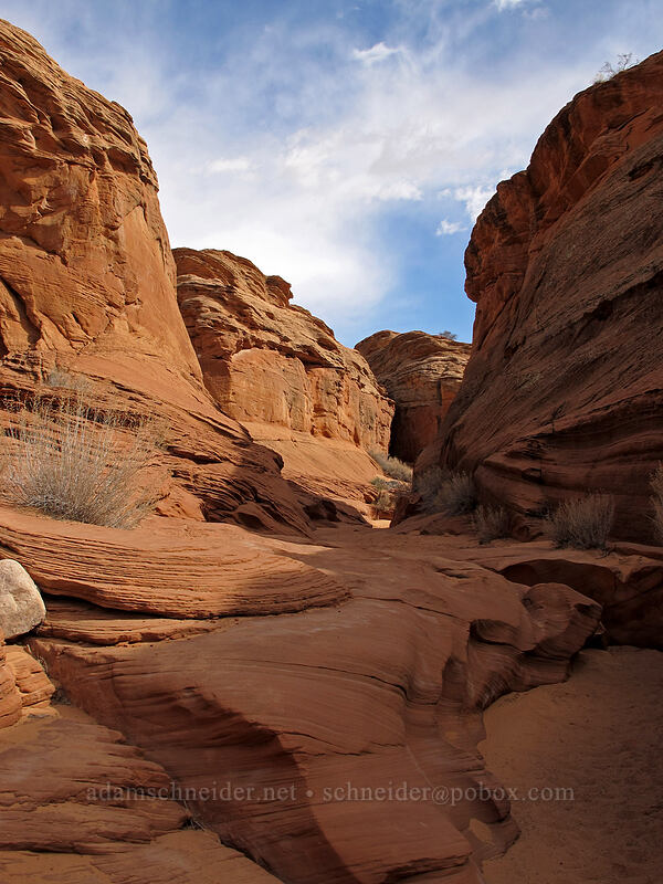 sandstone canyon [Water Holes Canyon, Navajo Nation, Coconino County, Arizona]