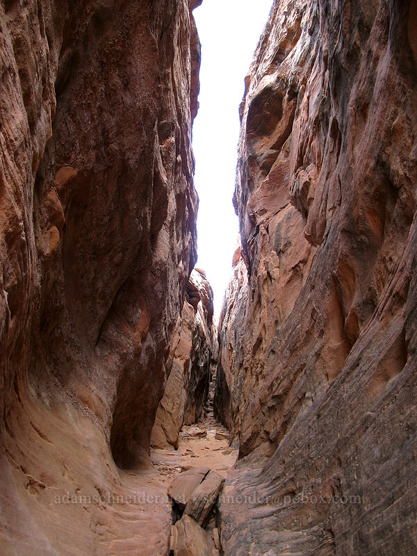 narrow side canyon [Water Holes Canyon, Navajo Nation, Coconino County, Arizona]