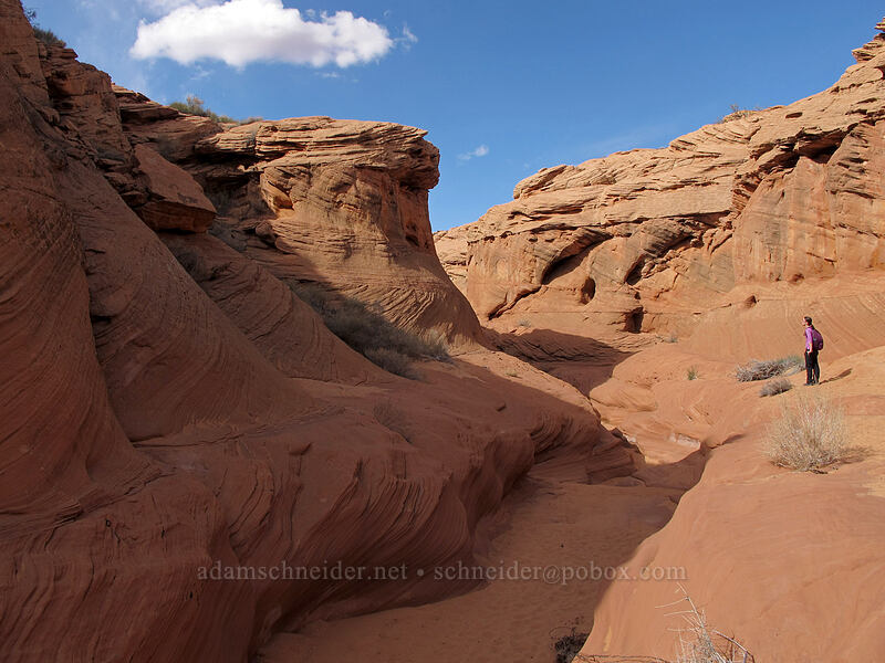 sandstone canyon [Water Holes Canyon, Navajo Nation, Coconino County, Arizona]