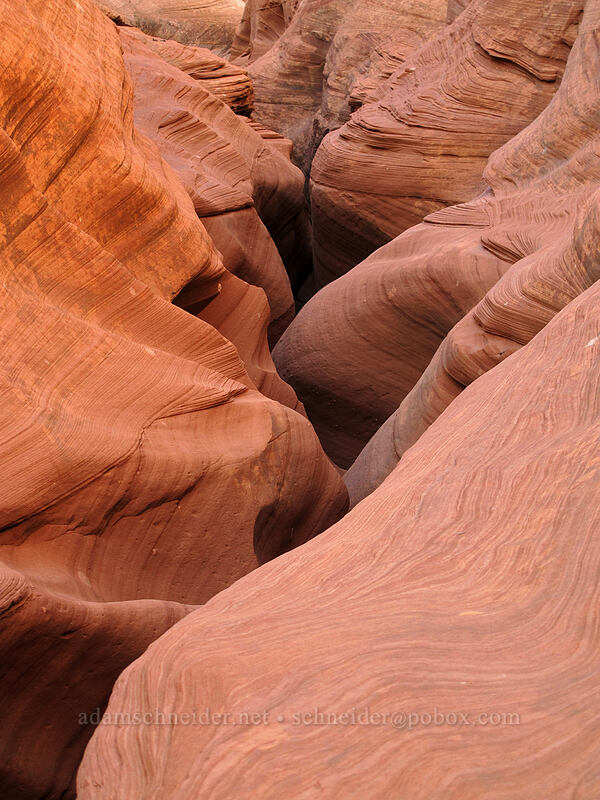 sandstone slot canyon [Water Holes Canyon, Navajo Nation, Coconino County, Arizona]