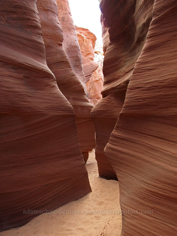 sandstone slot canyon [Water Holes Canyon, Navajo Nation, Coconino County, Arizona]