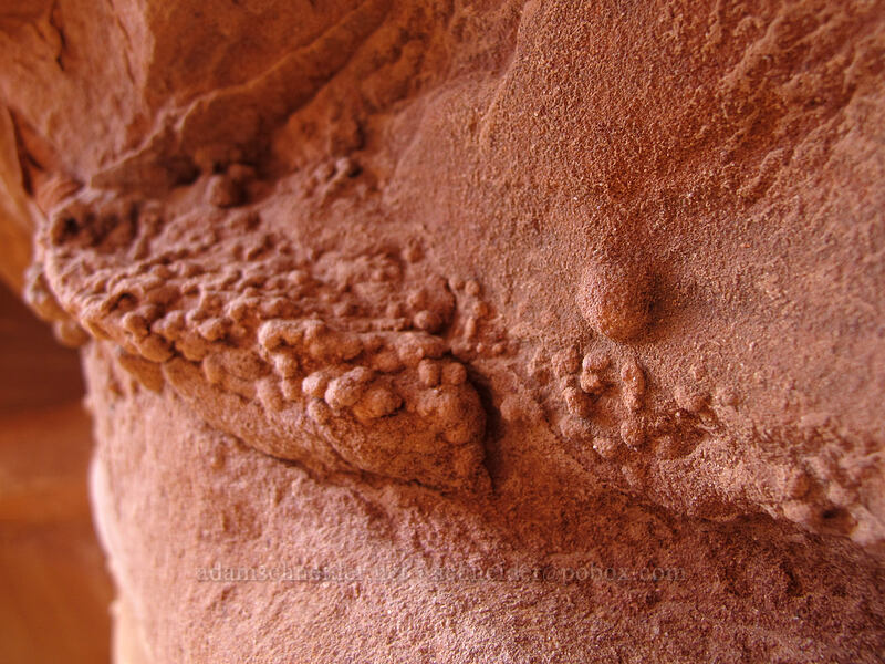 stone nodules [Water Holes Canyon, Navajo Nation, Coconino County, Arizona]