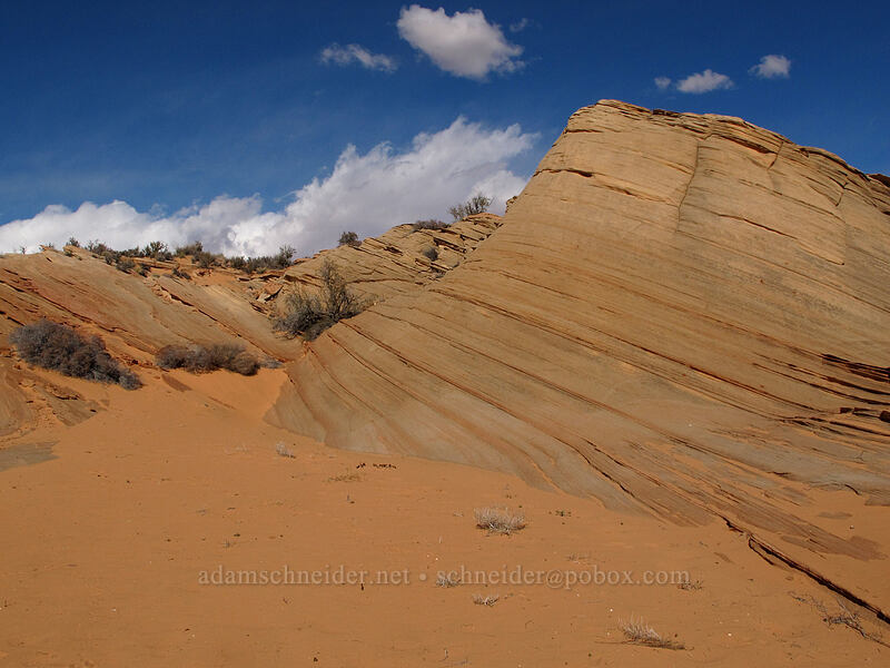 sandstone [Water Holes Canyon, Navajo Nation, Coconino County, Arizona]