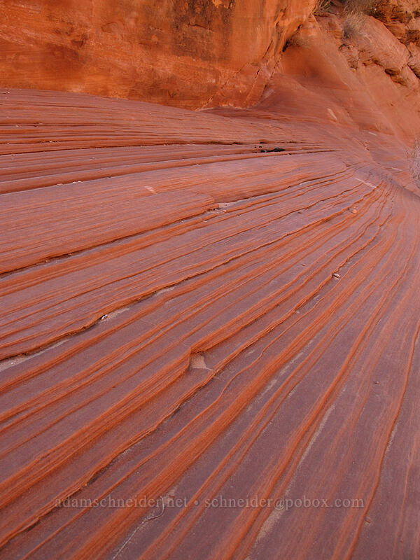 glowing sandstone layers [Water Holes Canyon, Navajo Nation, Coconino County, Arizona]