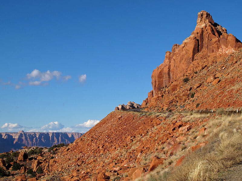 red rock [Echo Cliffs overlook, Coconino County, Arizona]