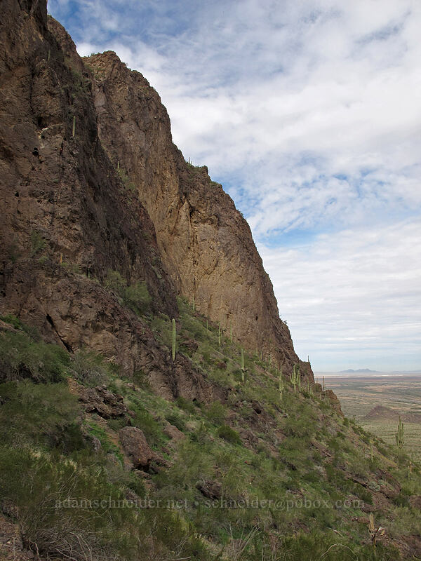 cliffs [Hunter Trail, Picacho Peak State Park, Pinal County, Arizona]