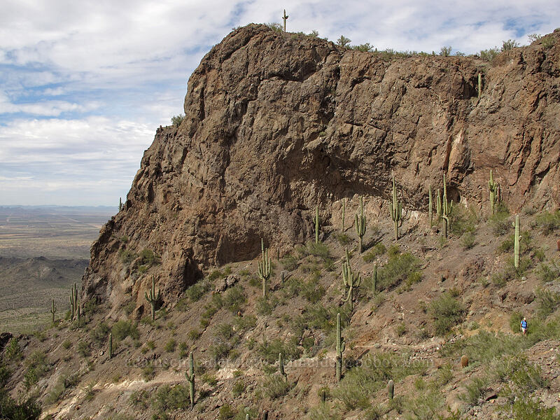 the trail [Hunter Trail, Picacho Peak State Park, Pinal County, Arizona]