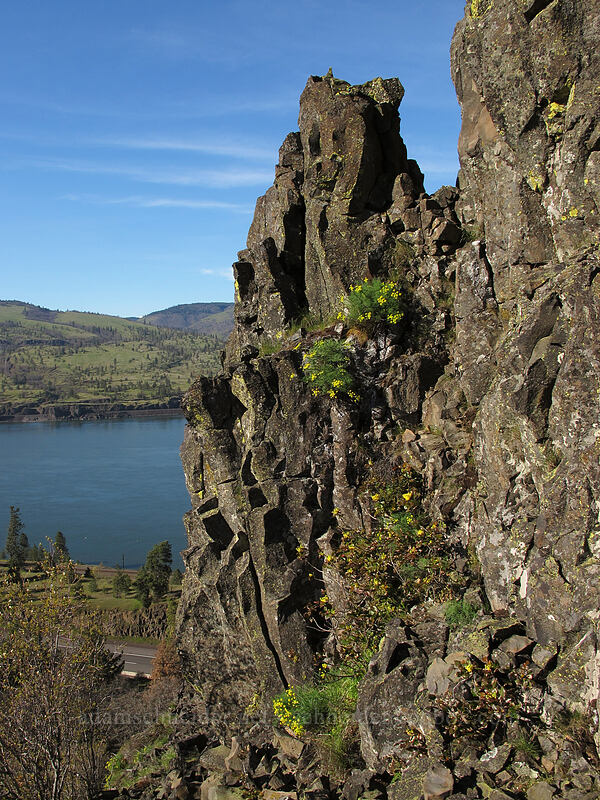 basalt pinnacle [Memaloose Pinnacles, Wasco County, Oregon]