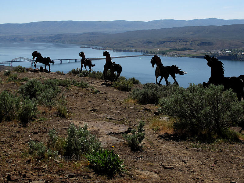 Grandfather Cuts Loose the Ponies [Wild Horse Monument, Grant County, Washington]