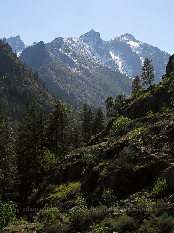Edward Peak [Sam Hill Preserve, Chelan County, Washington]