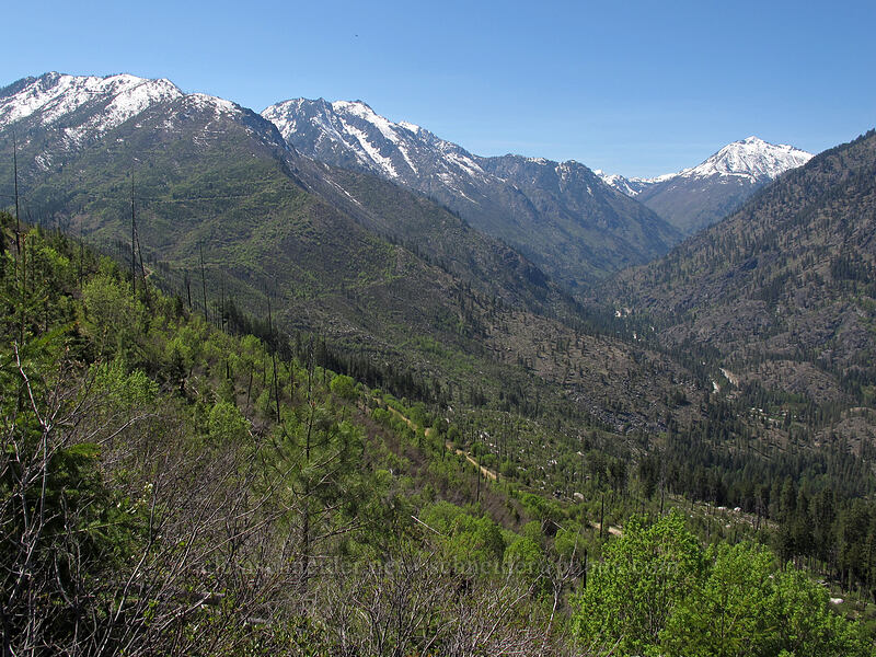 Wedge Mountain, the Enchantments, & Cashmere Mountain [Rat Creek Ridge Trail, Wenatchee National Forest, Chelan County, Washington]